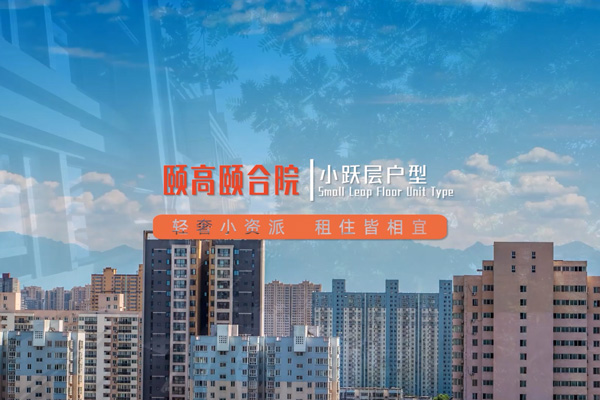 颐高颐合院  跃层户型展示